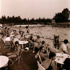 1984 - Terras